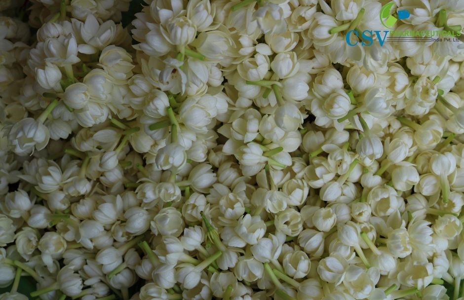 PC Ashok Mogra Super