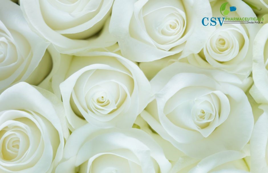 PC Rose For Agarbatti