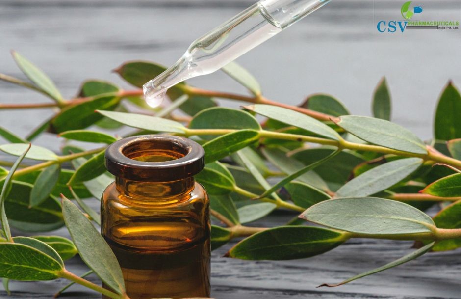Organic Eucalyptus globus Oil