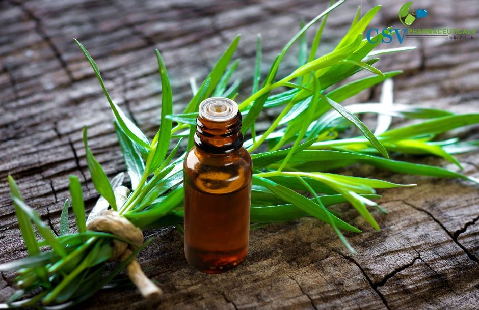 Tarragon Oil