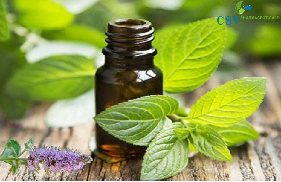 Mentha Arvensis Oil