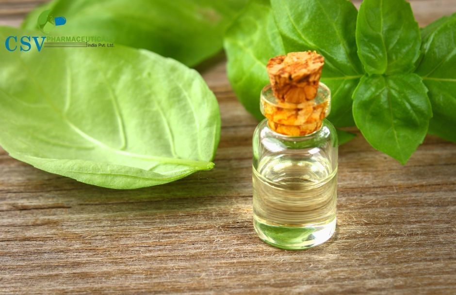 Organic Basil Oil (ocimum sanctum)