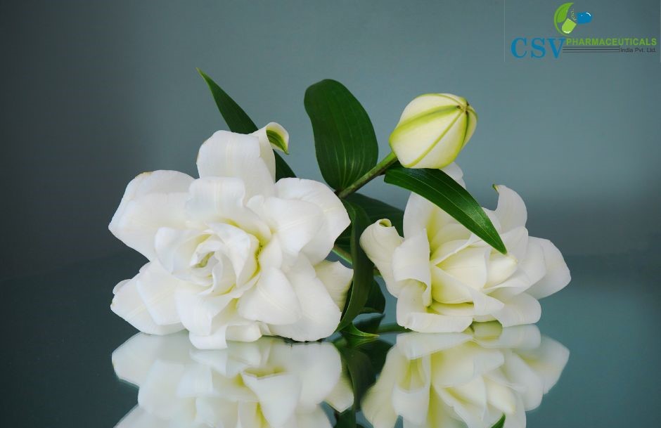 Jasmine Sambac Absolute