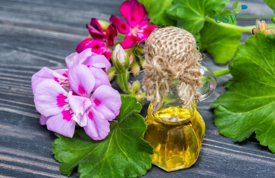 Geranium Oil